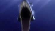 finding nemo barracuda toy story 4