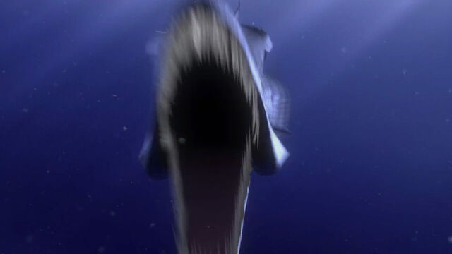 File:Finding-nemo-disneyscreencaps com-287.jpg
