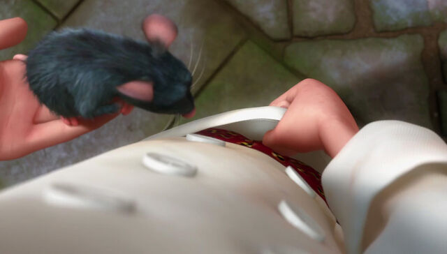 File:Ratatouille-Incredible-Boxers.jpg