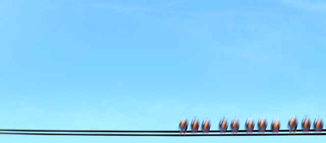 File:Birds Cars.png