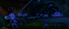 Scouts