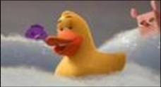 File:Pato.jpg