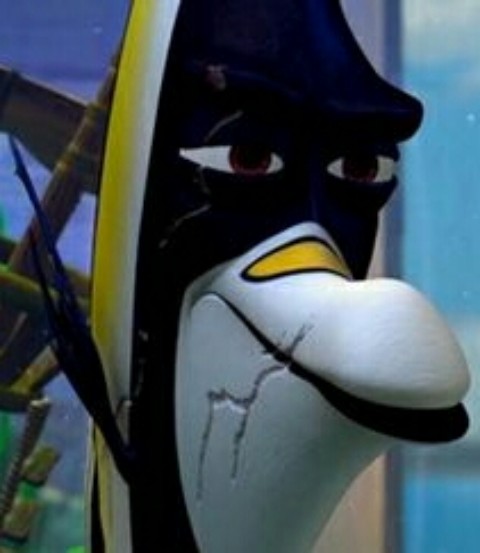 gill finding nemo fish type gill finding nemo fish type