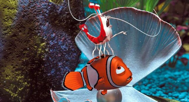 File:Jacques cleaning Nemo.jpg