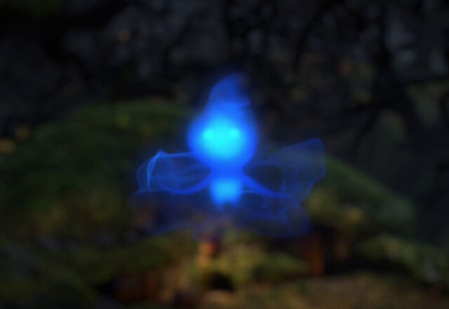 File:Wisp full.jpg