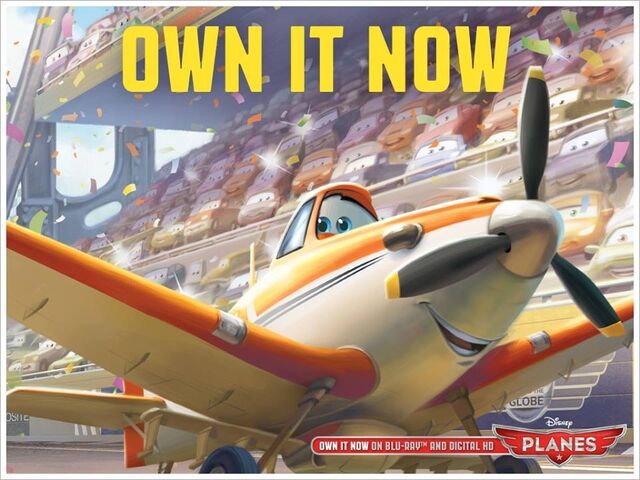 File:Own It Now.jpg