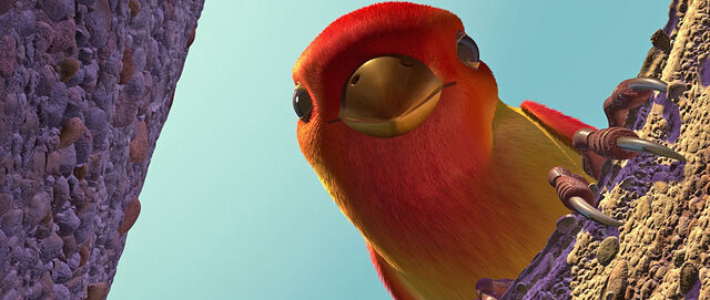 File:Oiseau2.jpg