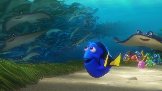 File:Dory and Class Concept.jpg
