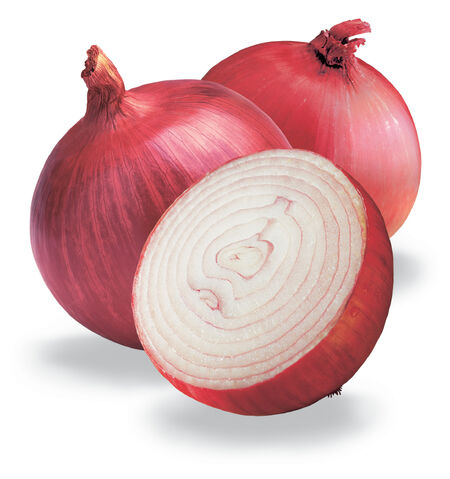 File:Onion.jpg