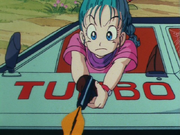 Bulma strzela