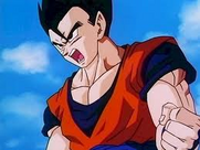 Son Gohan 13.png