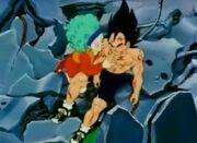Vegeta ranny po przeciążeniu maszyny.jpg