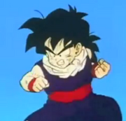 Gohan 222