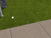 Screenshot-7www