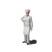 Cook.jpg