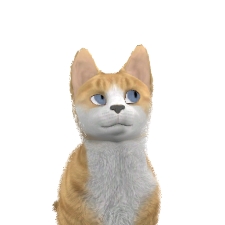 Puszek bird.jpg