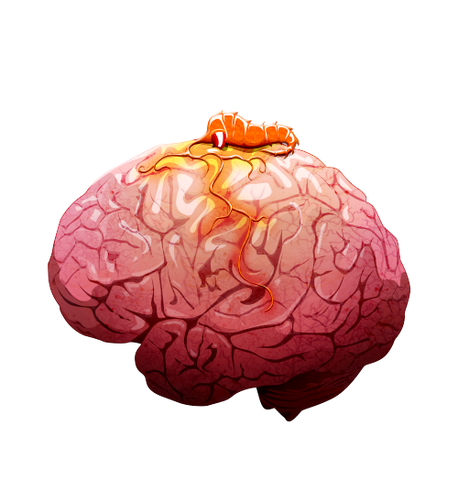 File:Brain 02 off@2x.png