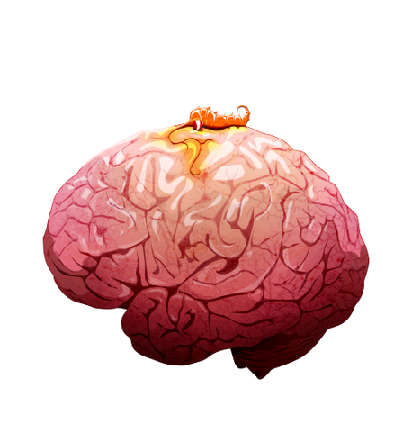 File:Brain 01 off@2x.png