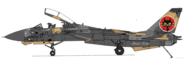 File:F14redux.png