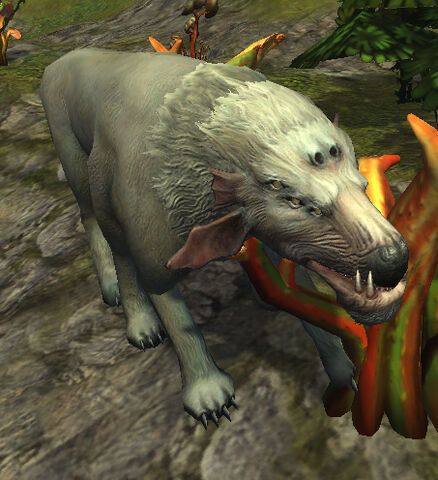 File:Umbrawolf2.jpg