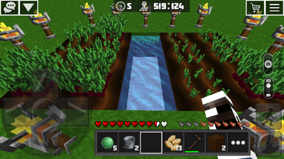 Beetroot farming