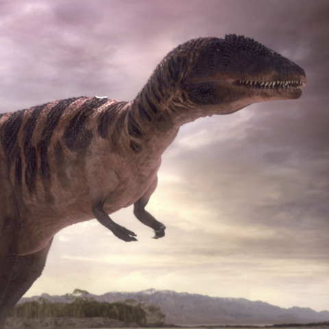 File:CarcharodontosaurusPortrait.png