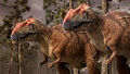 Thumbnail for version as of 17:50, October 23, 2011