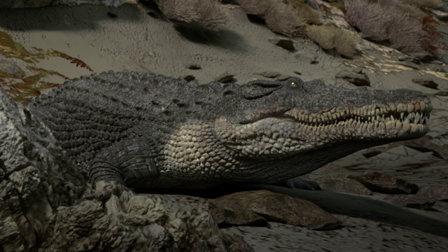 File:CrocodileInfobox.png