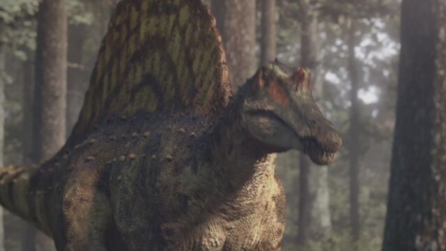 File:Spino-1.1-3.jpg