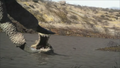 Thumbnail for version as of 06:31, April 19, 2013
