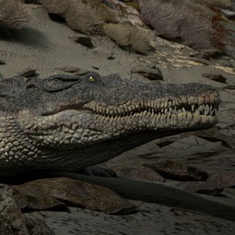 File:CrocodilePortrait.png