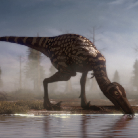 File:TroodonPortrait.png