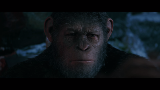 File:WPOTA Caesar 13.png