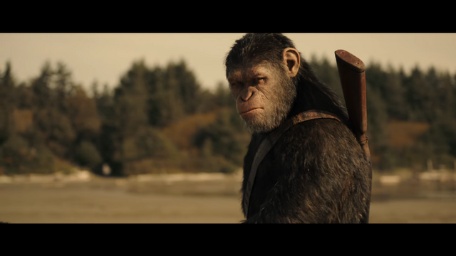 File:WPOTA Caesar 1.png