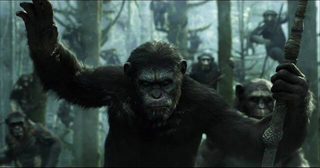 File:Hail King Caesar.jpg