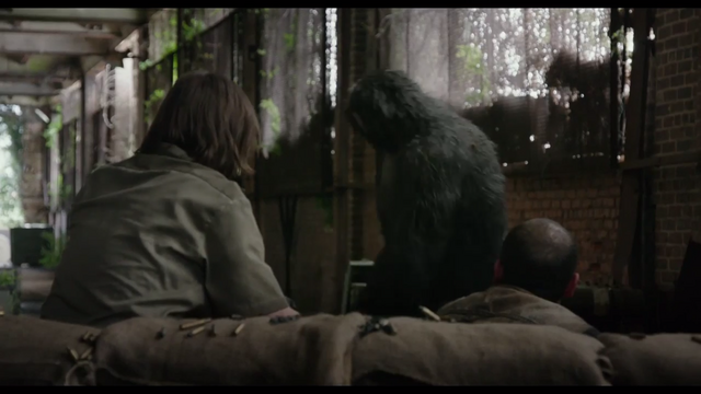 File:Koba amuses humans 4.png