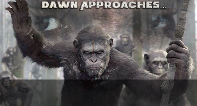 File:Slider Dawn 01.jpg