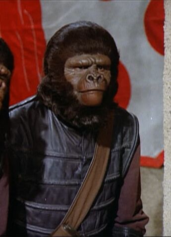 File:Tall police gorilla.jpg