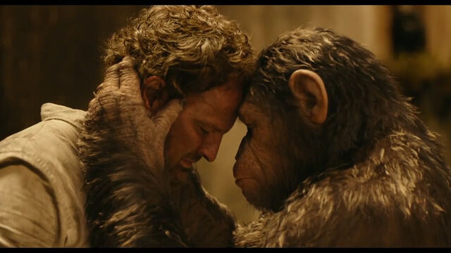 File:Head to Head.jpg