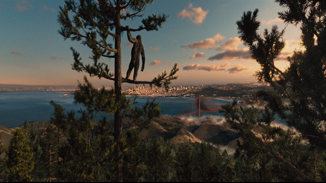 File:Caesar Watching San Francisco.png