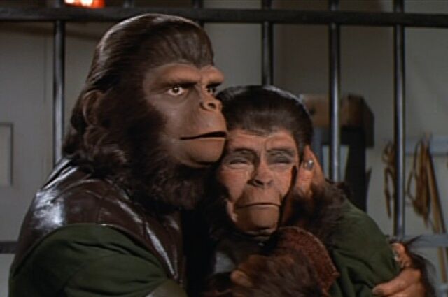 File:Thirdsurvivors.jpg
