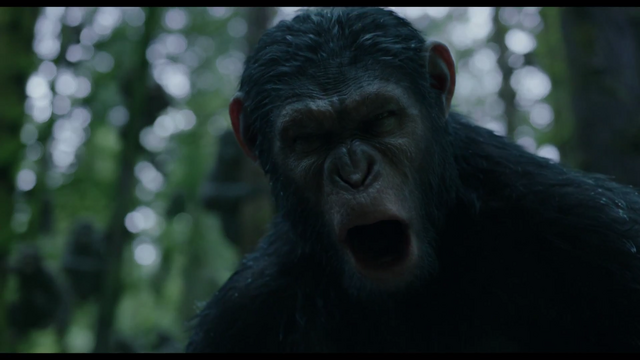 File:Caesar tells the humans to leave.png