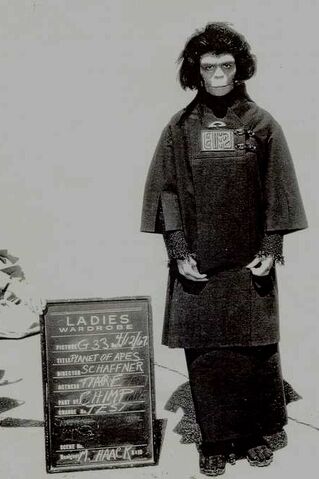 File:Custume Test8.jpg