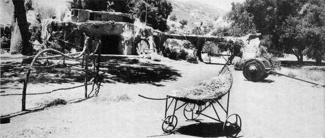 File:Seeds scene3.jpg