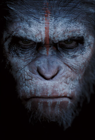 File:Poster 01.jpg