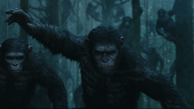 File:Caesar and Blue Eyes HD.png