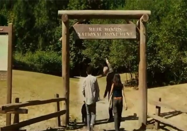 File:Muir Woods.jpg