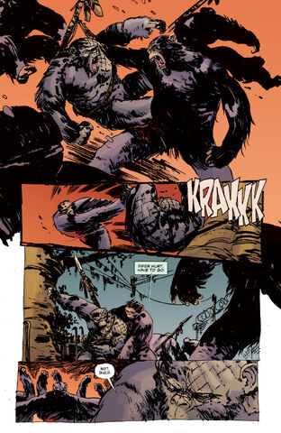 File:BOOM DawnPOTA 003 PRESS-9.jpg