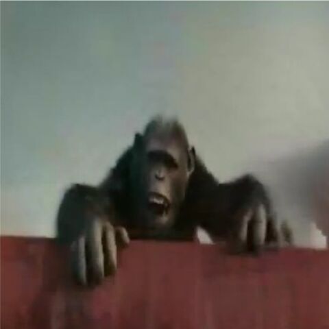 File:Wolfie.jpg