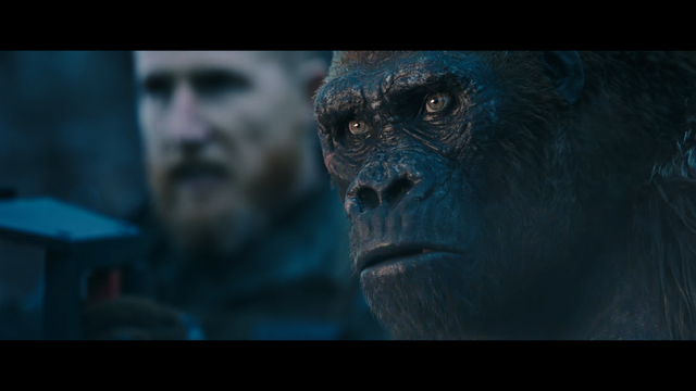 File:WPOTA Donkey's waivering resolve.png